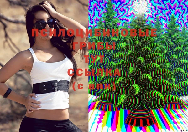 2c-b Бронницы