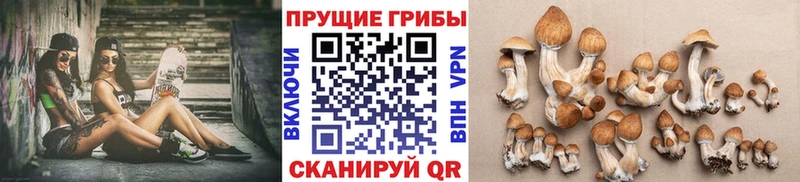 Галлюциногенные грибы Magic Shrooms  Купить  Шенкурск 